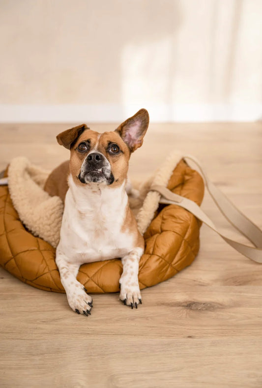 Teddy Dog or not DOG Bag cognac