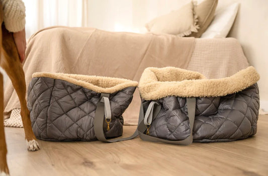 Teddy Dog or not DOG Bag hellgrau