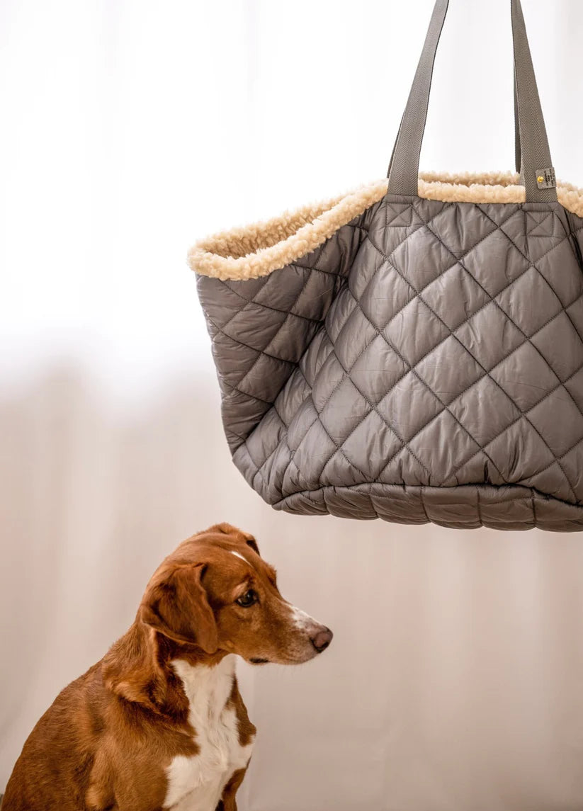 Teddy Dog or not DOG Bag hellgrau
