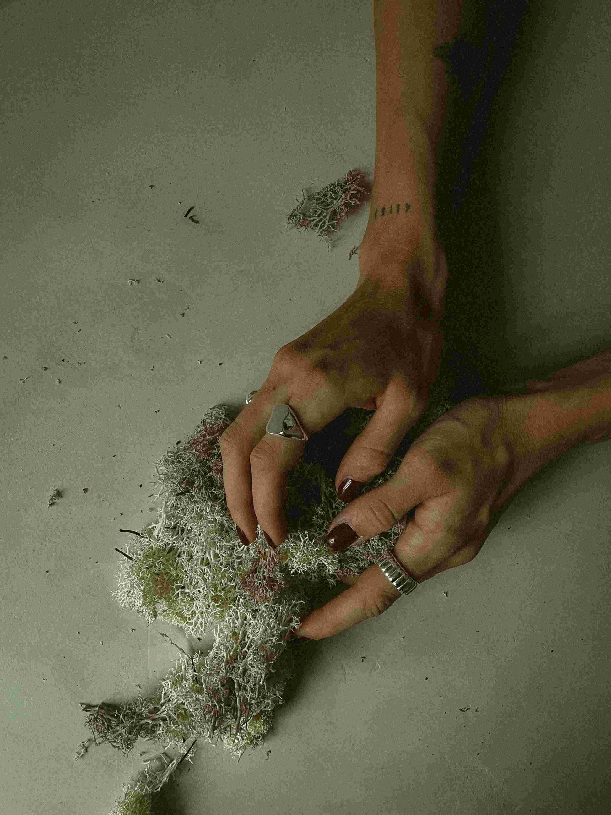 Linienring silber - noёmvri fashion label