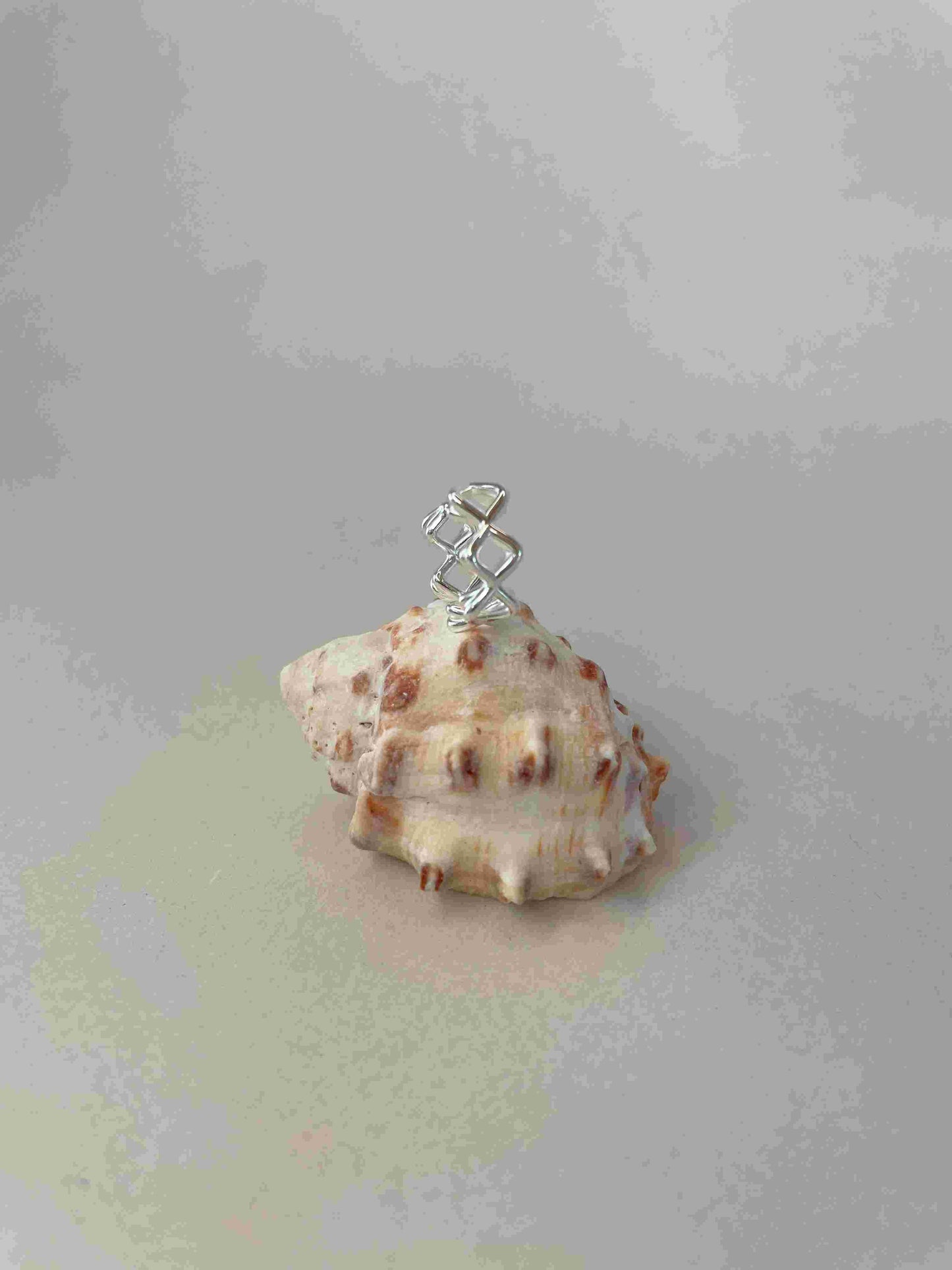 Lynn earcuff silber - noёmvri fashion label